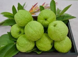 Tiểu đường có được ăn ổi không? Ăn ổi như thế nào cho đúng với bệnh tiểu đường?